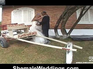 Amazing doggystyle anal fuck with well-hung shemale bride and ebon groom